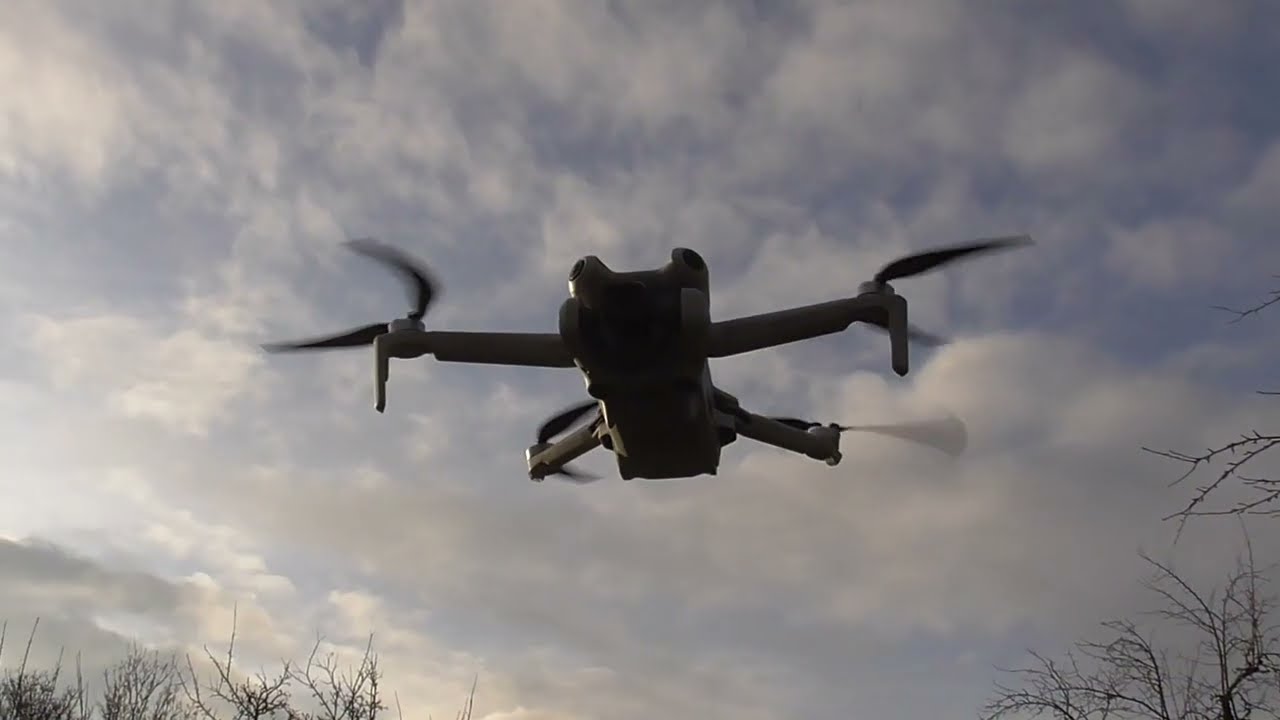 Tier / animal / animale / dier / djur / жывёла / 動物 / Déier / Dyr / Тварина / животное / حيوان