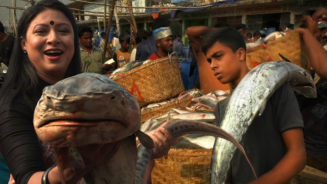 বড় বড় মাছের মেলা চট্টগ্রাম ফিশারি ঘাটে || Panorama Documentary