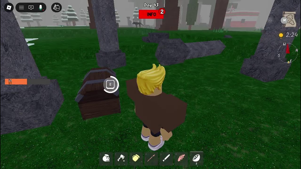 play roblox