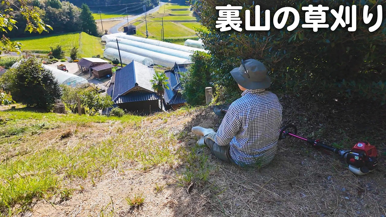 秋の草刈り｜夫婦で裏山をきれいにしました【山口県】