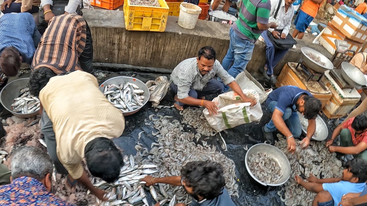 Biggest Fish Market in Hyderabad Ramnagar Walking Tour (India)