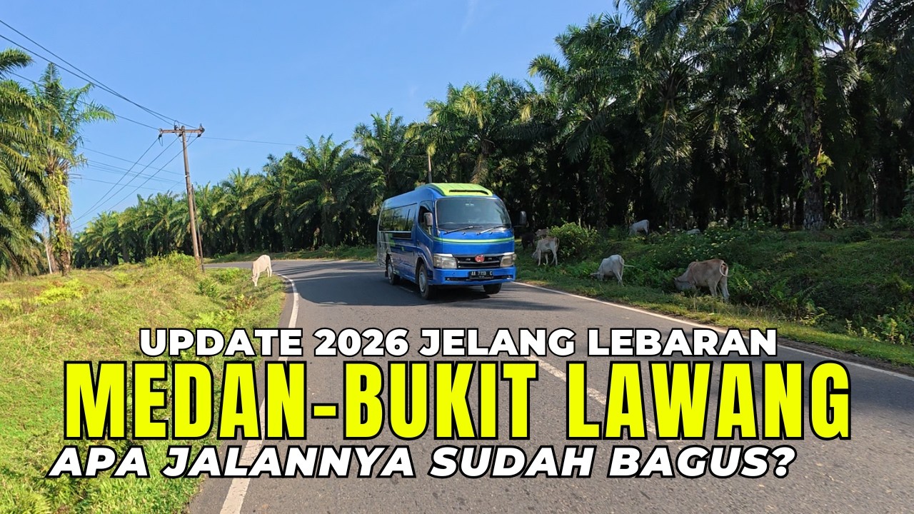 Masih Rusak? Kondisi Jalan Medan ke Bukit Lawang 2026 | Jalur Wisata Bukit Lawang Sumatera Utara