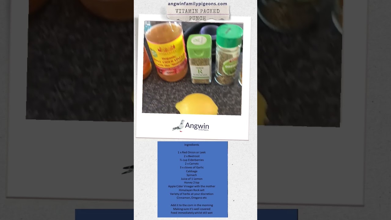 Angwin Family Pigeons - Racing Pigeon Vitamin Punch #racingpigeons #kittel #pigeoncommunity