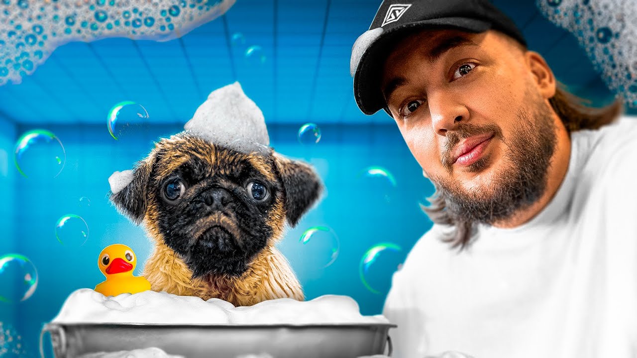 Je fais prendre un bain à mon chien pour la première fois