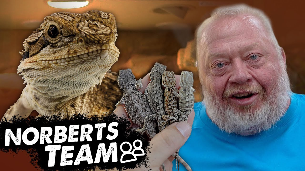 BARTIS im VERGLEICH | NORBERTS TEAM | Zoo Zajac