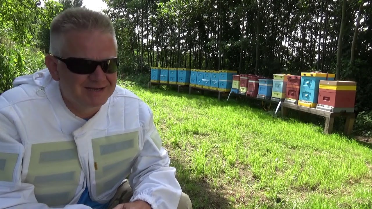 sezon 2 przygotowanie do nawłoci, podkarmiać czy nie? 06.08.2020