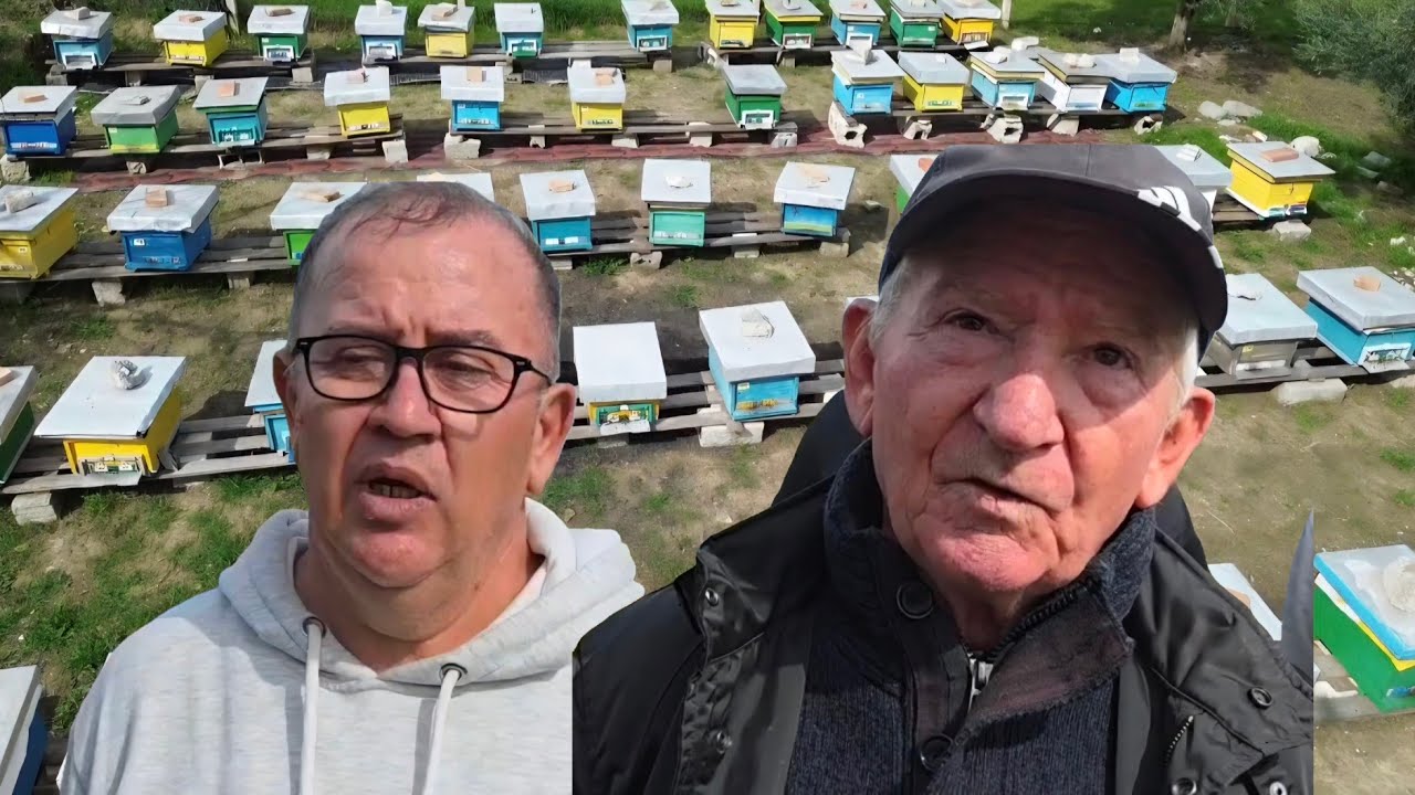 “Bletarët japin alarmin: Importet e dyshimta po shkatërrojnë mjaltin shqiptar!”