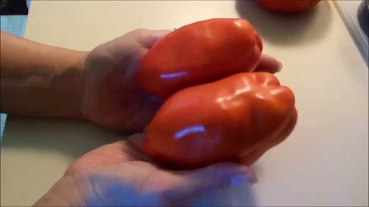 My favorite tomato