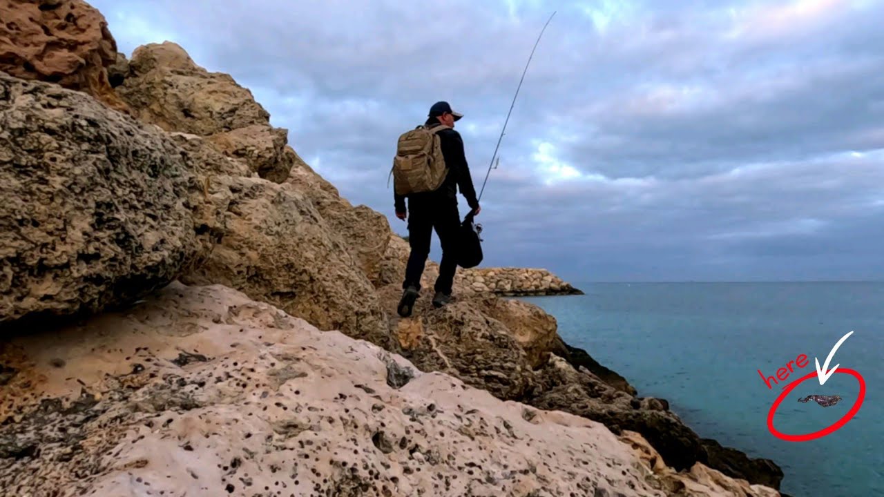 -Landbase Squid Fishing- CATCH  and COOK