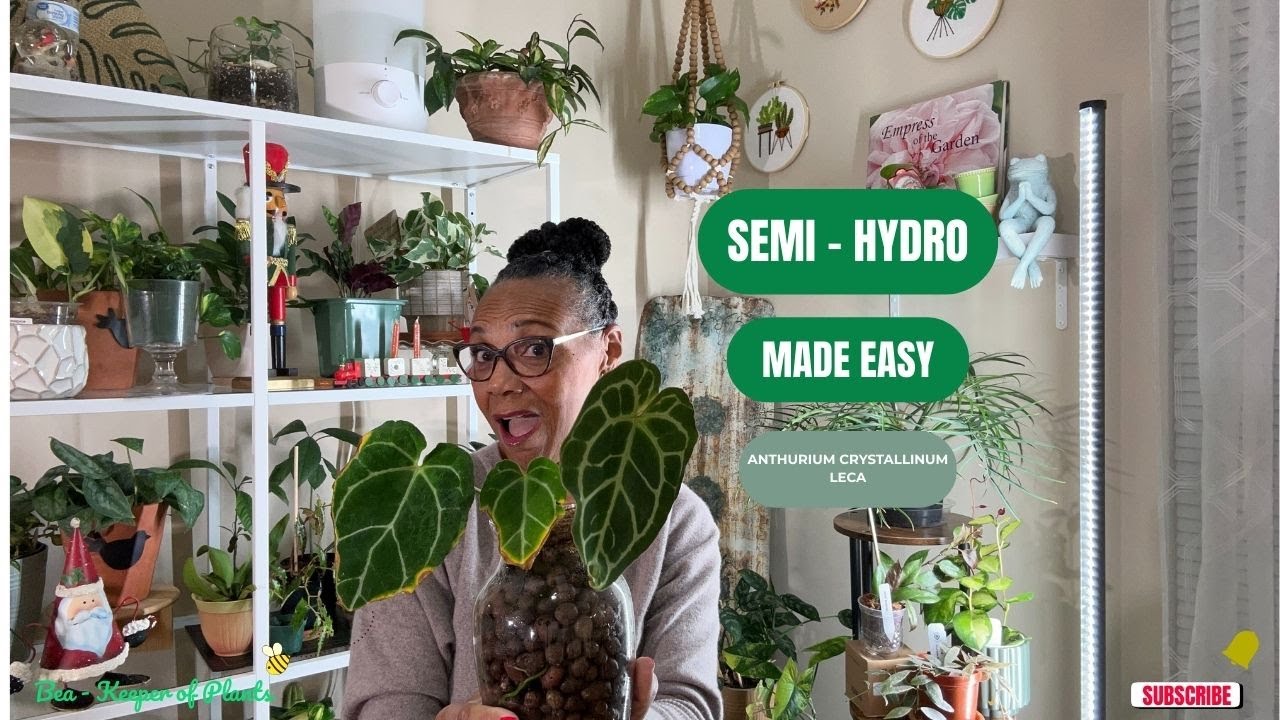 𝐋𝐞𝐯𝐞𝐥𝐢𝐧𝐠 𝐔𝐩 𝐏𝐥𝐚𝐧𝐭 𝐂𝐚𝐫𝐞 🌿 𝐒𝐭𝐞𝐩-𝐛𝐲-𝐒𝐭𝐞𝐩 𝐀𝐧𝐭𝐡𝐮𝐫𝐢𝐮𝐦 𝐂𝐫𝐲𝐬𝐭𝐚𝐥𝐥𝐢𝐧𝐮𝐦 Туториал