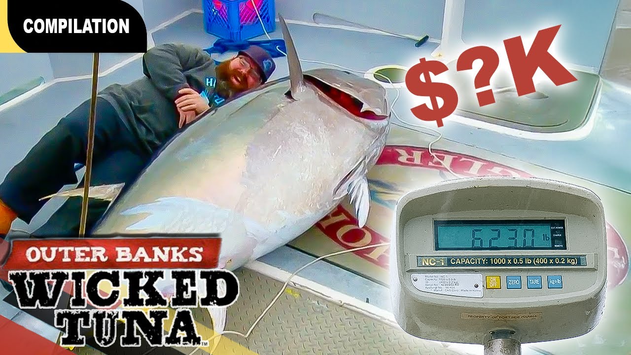 Крупнейшие выплаты во втором сезоне сериала «Внешние отмели» | Wicked Tuna