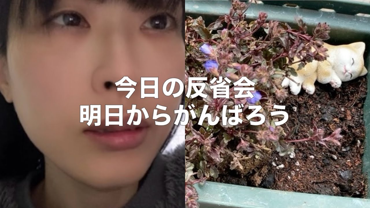 今日の反省会