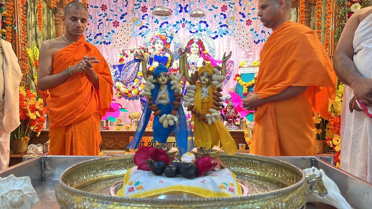 जय श्रीकृष्णा #krishna #krishnabhajan #krishnastatus #bankebihari #vrindavan #reels #1k