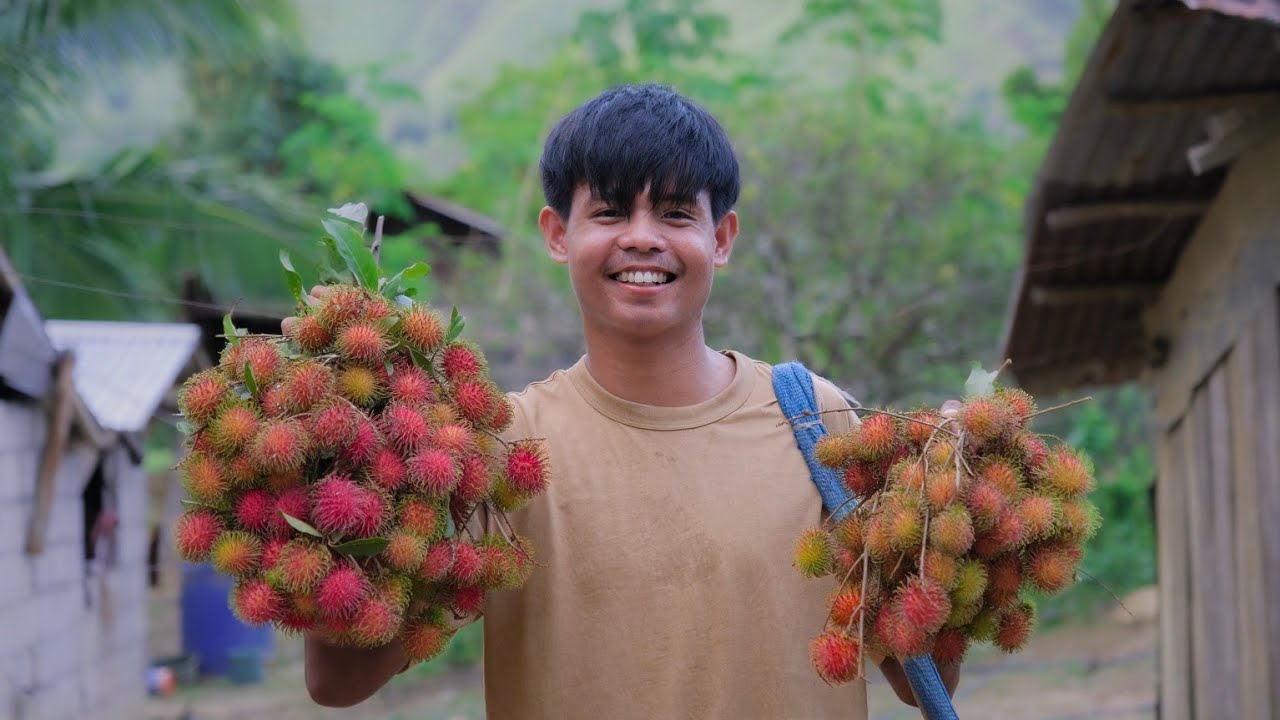Harvest rambutan | Make RAMBUTAN ICE CREAM! | Filipino Countryside Life