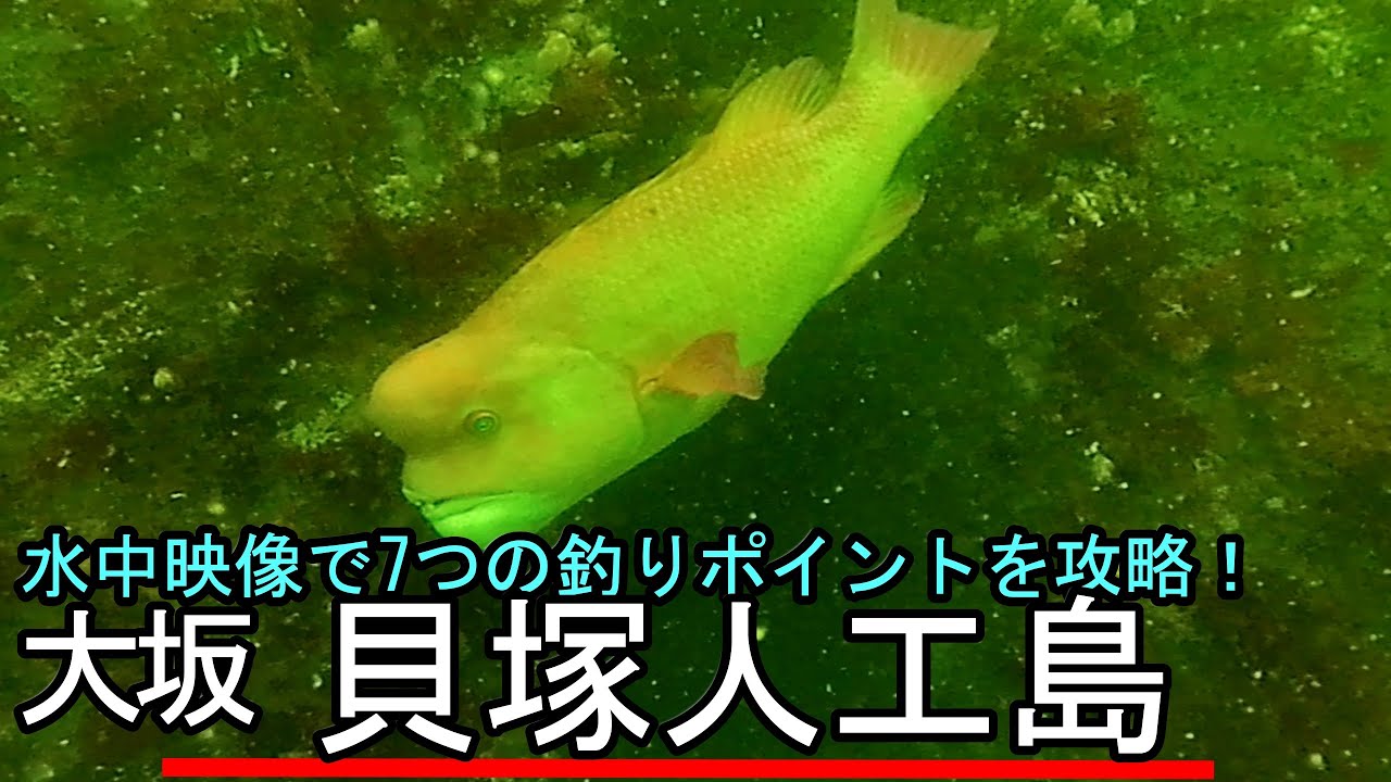貝塚人工島の釣りポイントを水中映像で攻略！【大阪の海釣り】