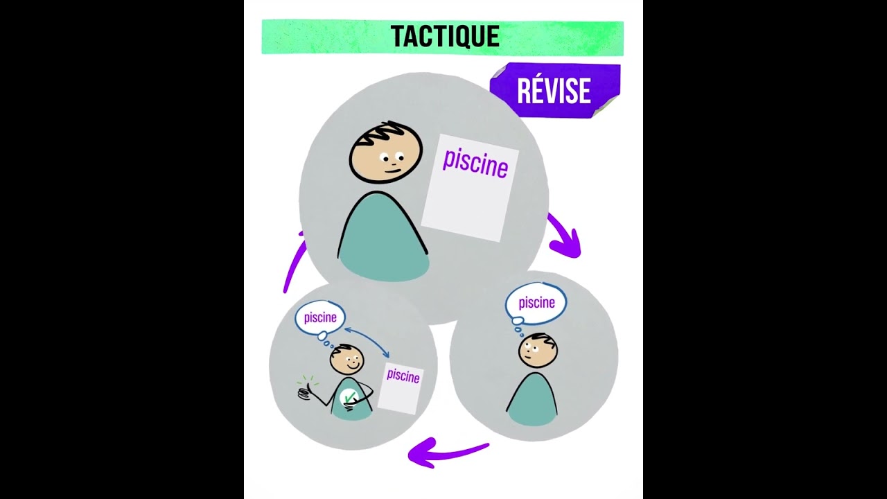 15. L'orthographe des mots