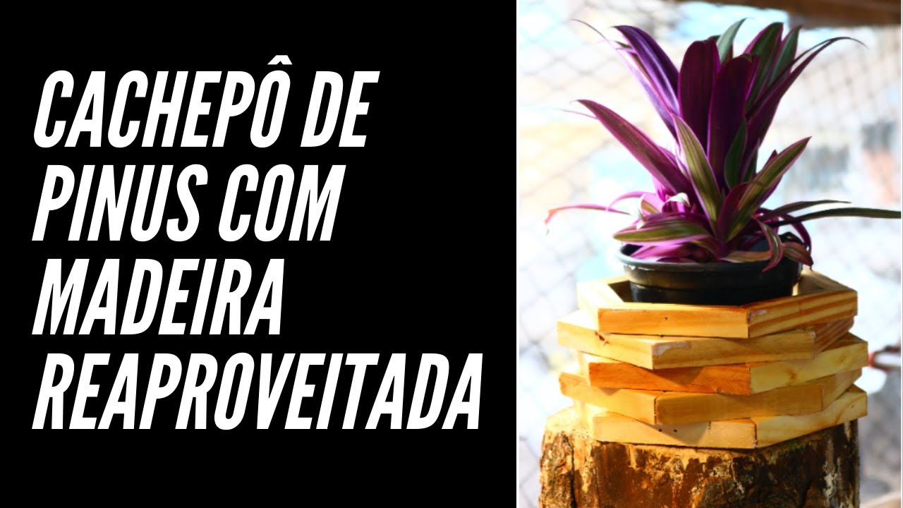 Cachep&ocirc; De Pinus, madeira de reaproveitamento