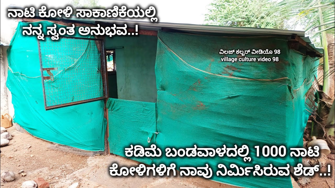 1000 ನಾಟಿಕೋಳಿಗಳಿಗೆ ಕಡಿಮೆ ಬಂಡವಾಳದಲ್ಲಿ ನಿರ್ಮಿಸಿರುವ ಶೆಡ್|Low cost naatikoli sakanike shed in karnataka 