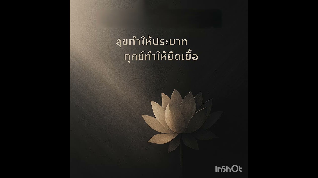 ให้จิตเดินทาง