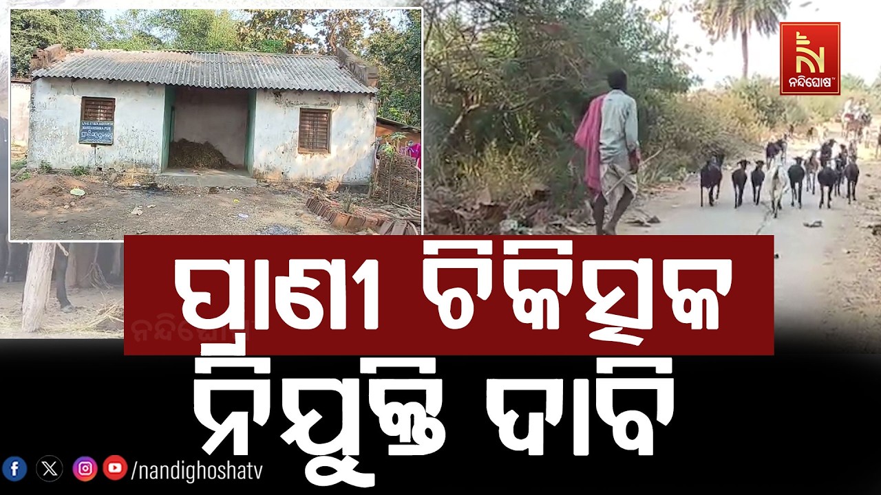 ଅବହେଳିତ ଅବସ୍ଥାରେ ବୌଦ୍ଧର ବିଭିନ୍ନ ପ୍ରାଣୀ ସହାୟକ କେନ୍ଦ୍ର | NandighoshaTV