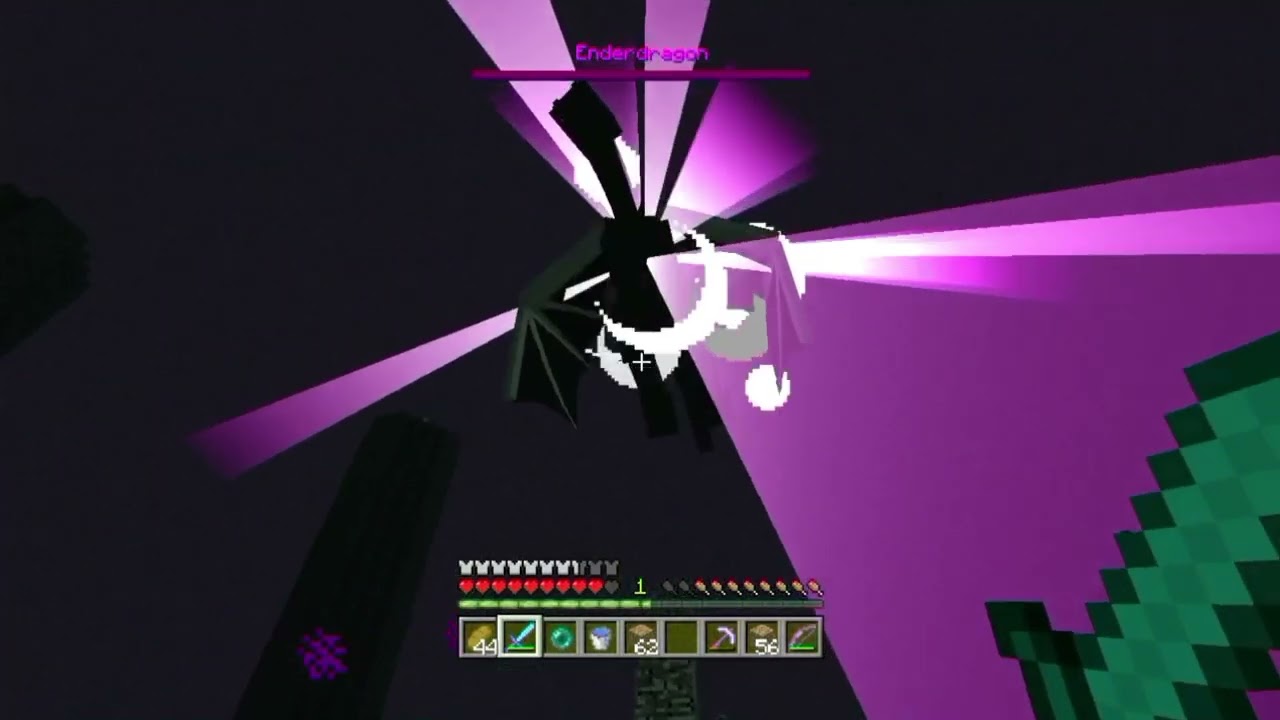 Enderdragon (20)
