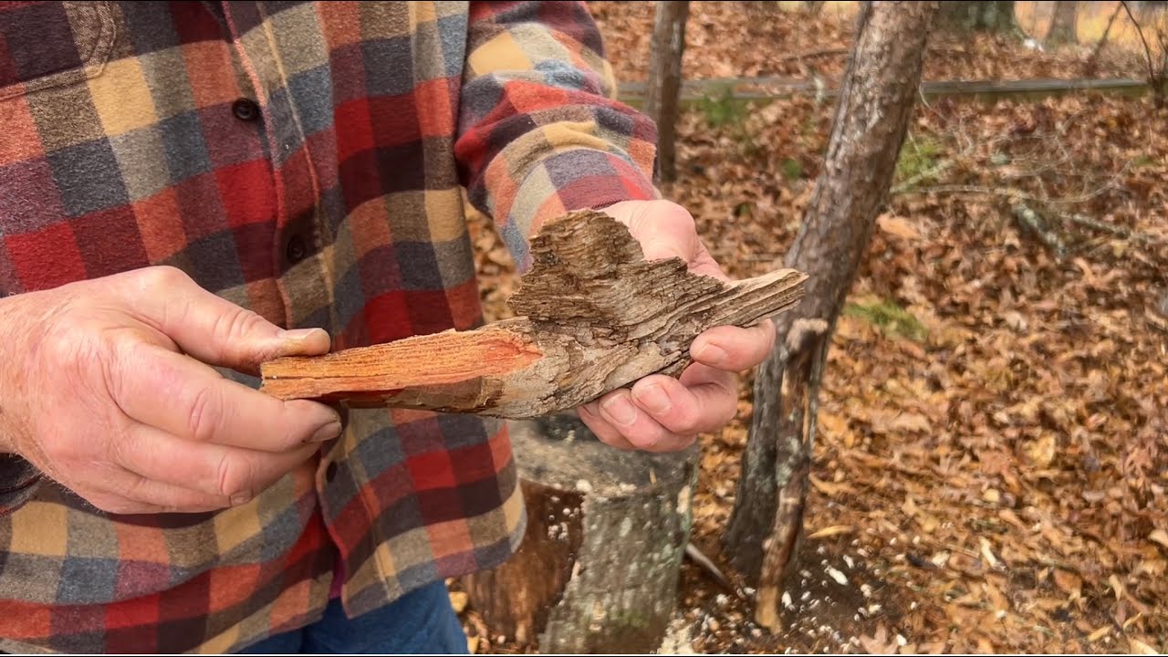 Ferro Rod And Fatwood: Time Honored Way To Ignite Wet Wood