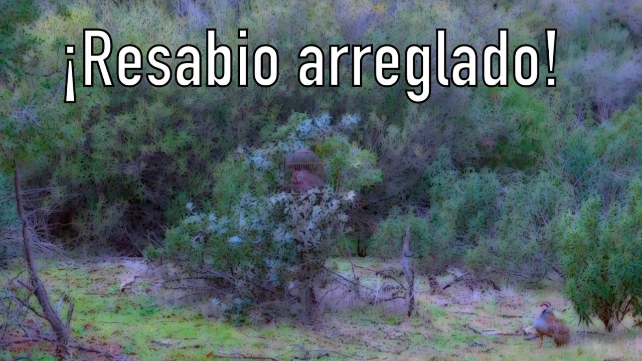 Un lance curioso. El primer sorprendido fui yo.