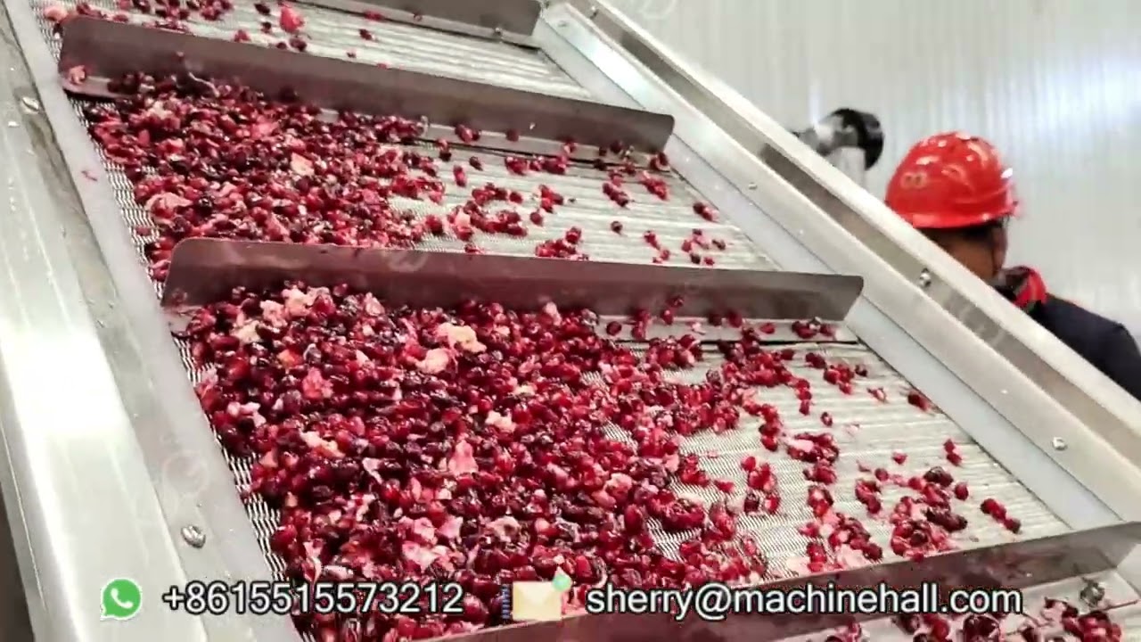 How Are Pomegranate Seeds Removed in A Factory?