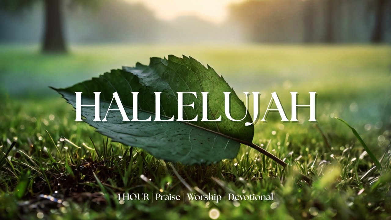 HALLELUJAH  |  Soaking Worship Music - Prayer&Devotional
