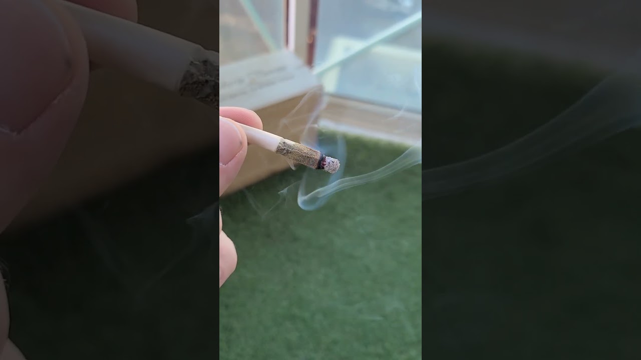 Pre rolls in Canada absolutely coated #thc #420 #420daily #cannabisdaily #weednews #canada