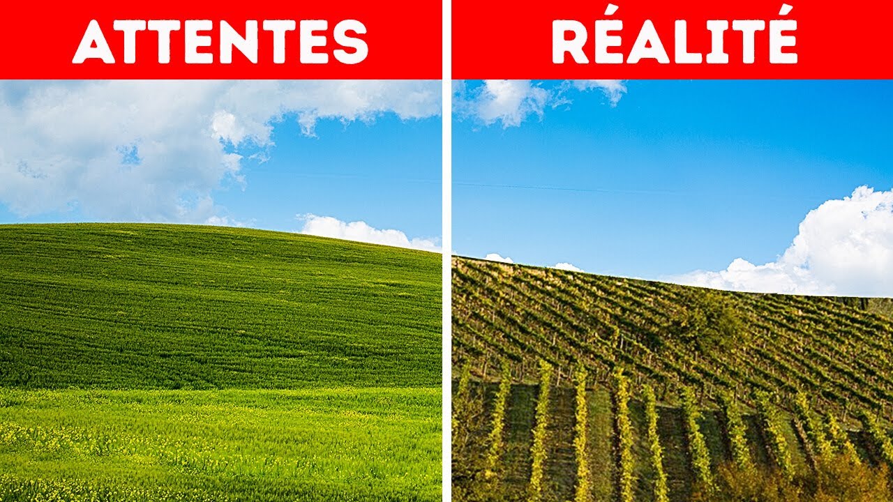 Les Histoires Derrière les Photos les Plus Célèbres de l’Histoire