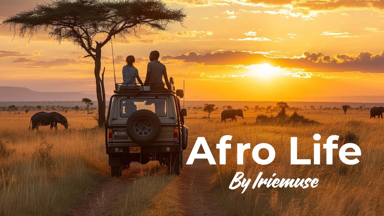 Afro Type Beat 2025  - Afro Dancehall Type Beat (Percussion Beat)  - Afro Life Riddim