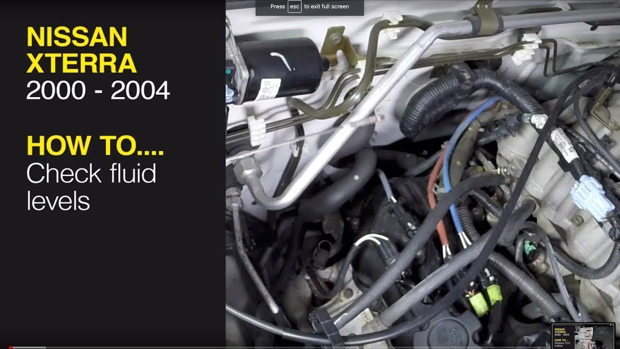Checking the fluid levels on a Nissan Xterra (00-04), Pathfinder (96-04) or Frontier pick-up (98-04)