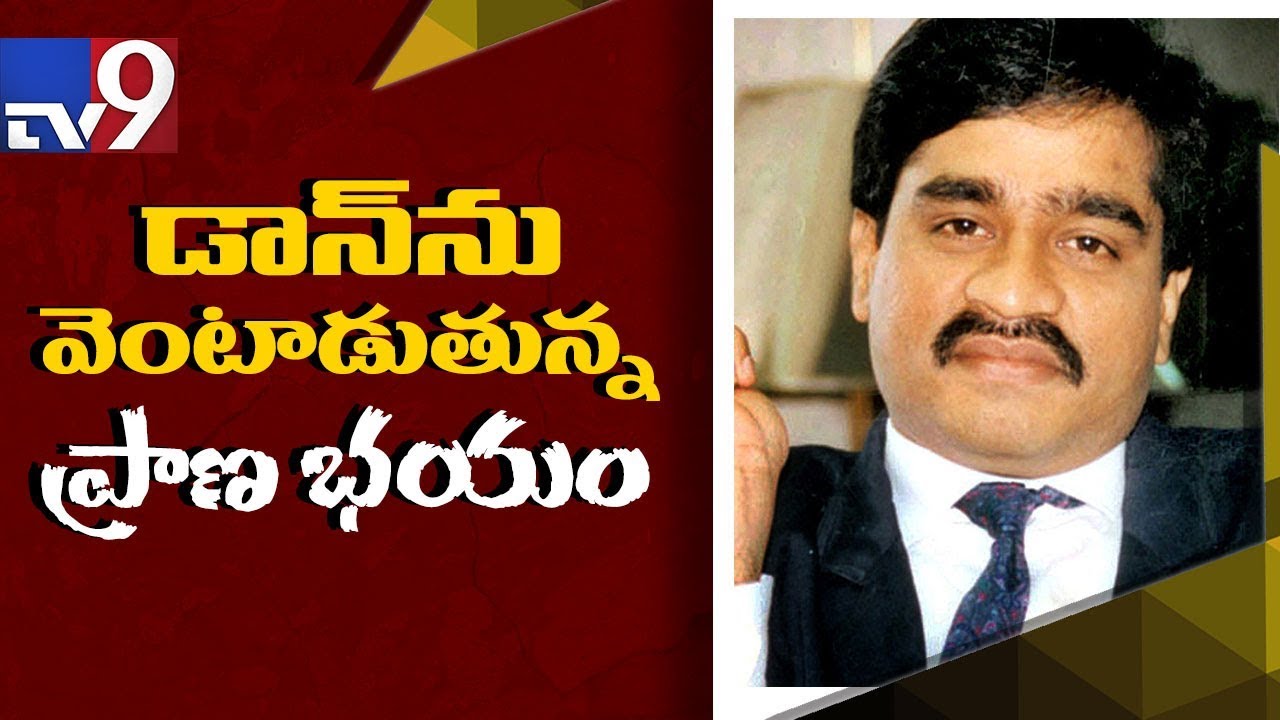 Dawood Ibrahim shifts base to Karachi island - TV9