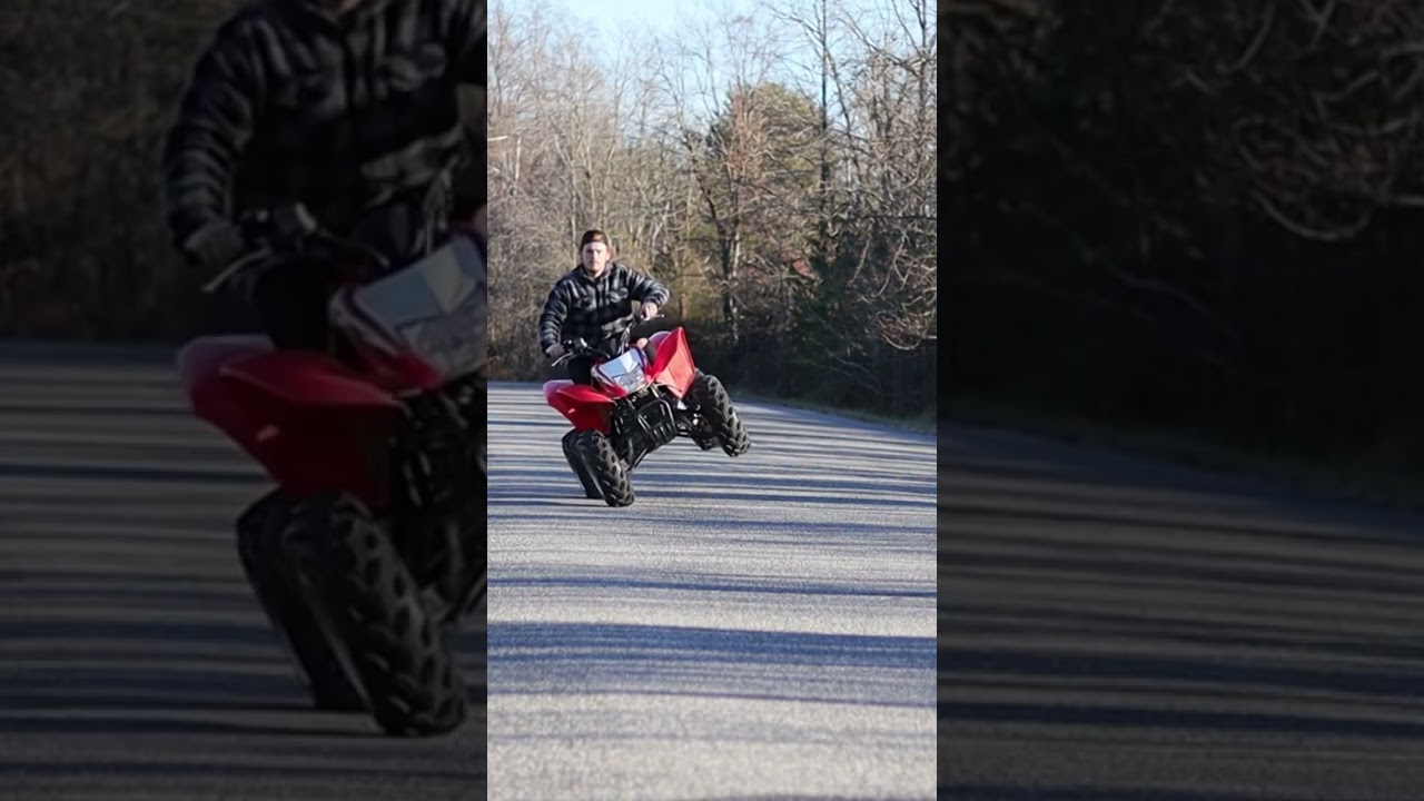 HONDA TRX 250 on 2 WHEELS #quads
