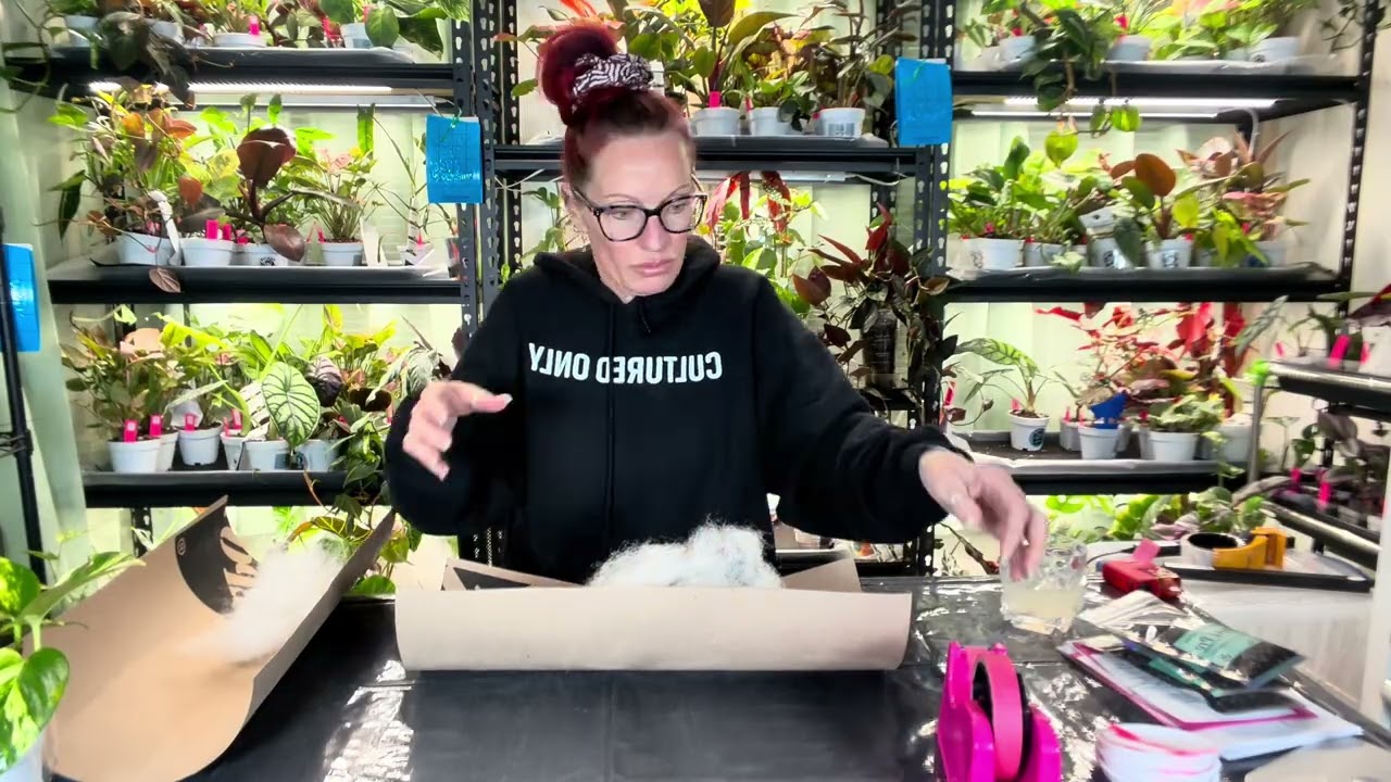 Packing Etsy Orders with Care 🌿 | Behind the Scenes at Thrive Theory Plant Shop