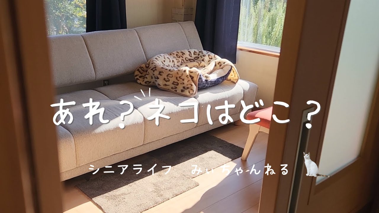 【Vlog】60代 冬の日課、ネコの居場所確認/マイ加湿器/チャプチェ/