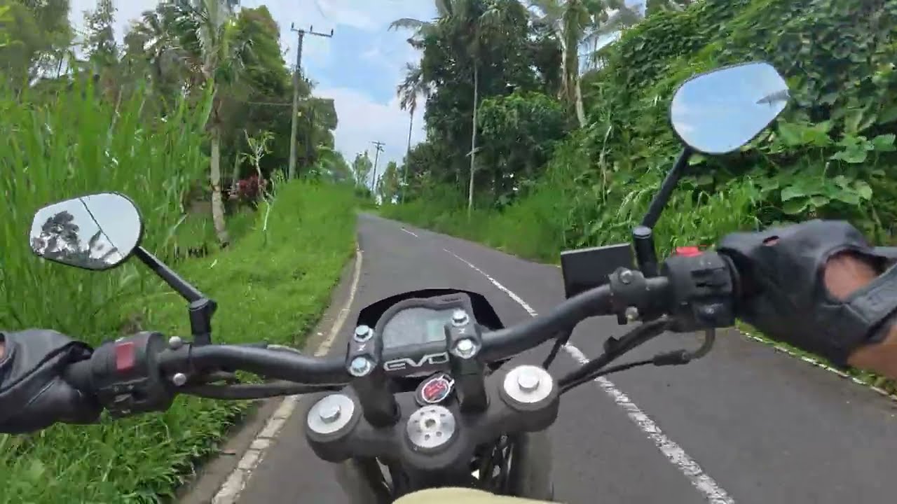Sangeh to Bedugul: Bali Forest Escape