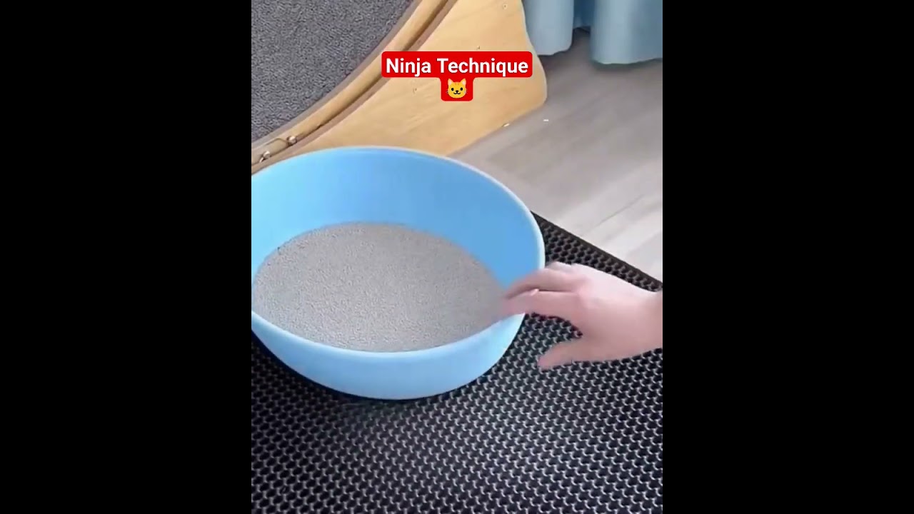 Cat Litter Recycle and Reuse technique🐱😱♻️ #shorts #viral #cat #tips #reels