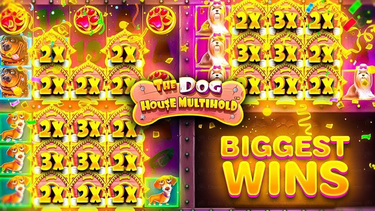 ПОЧЕМУ ТАК ОПЯТЬ? СЛОВИЛ МНОГО ДОРОГИХ БОНУСОК В The Dog House Multihold™! ЗАНОСЫ НЕДЕЛИ