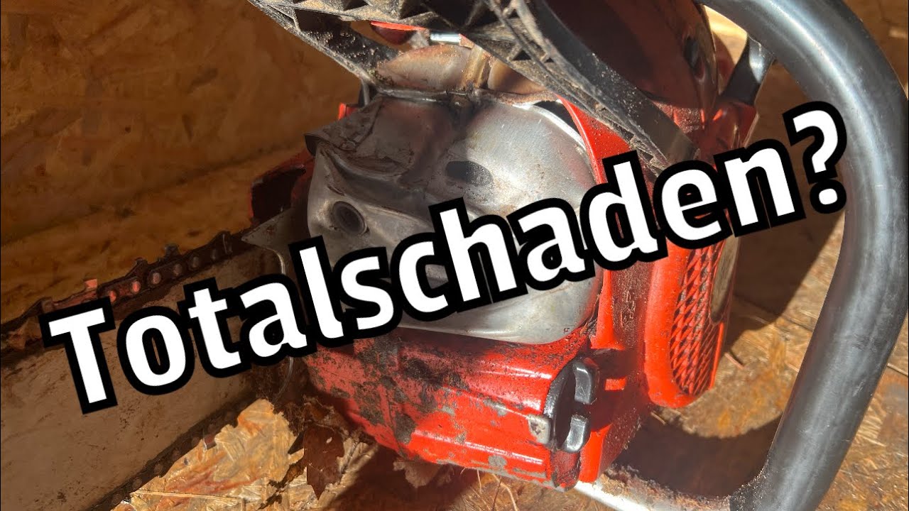 Dolmar PS 7300 | Baumschaden | Schrott oder noch zu retten ?