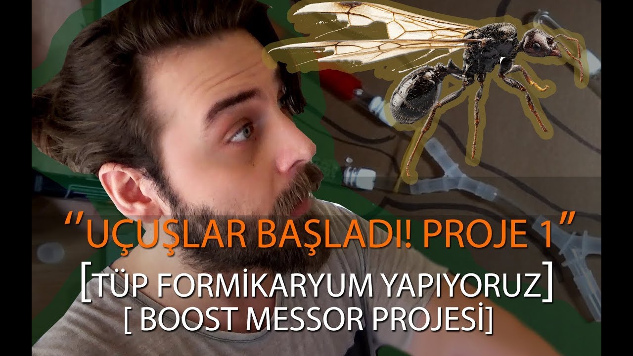 Uçuşlar Başladı! Karınca Yuvası yapıyoruz.