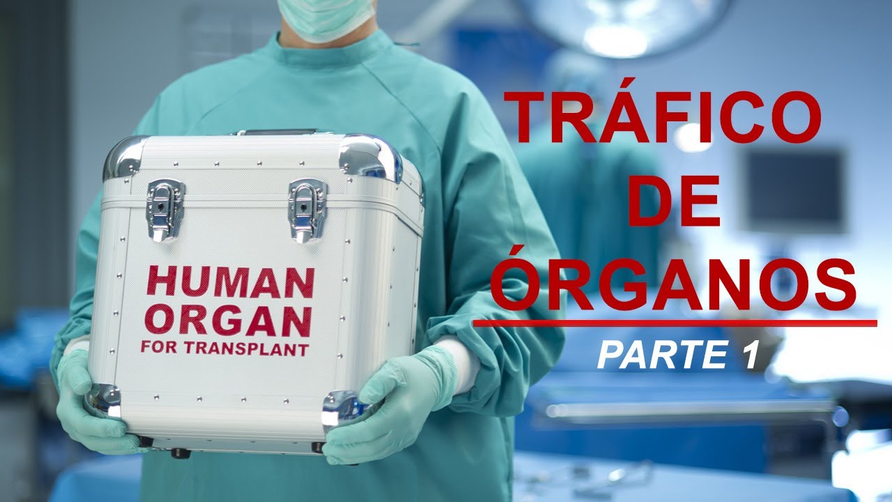 Tráfico de Órganos Parte 1