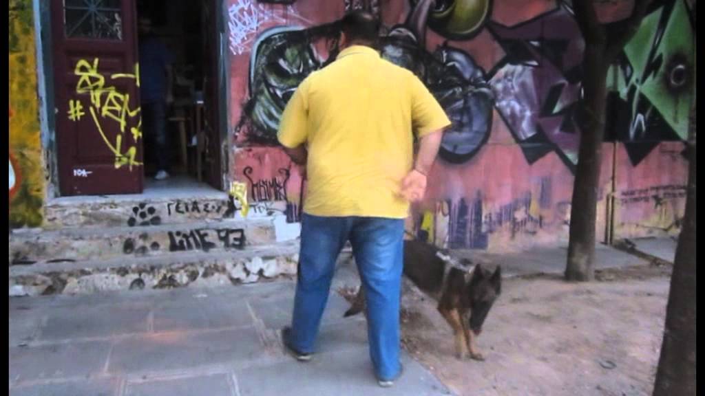 Αστυνομική επιχείρηση εντός του Πολυτεχνείου, στην οδό Πατησίων.
