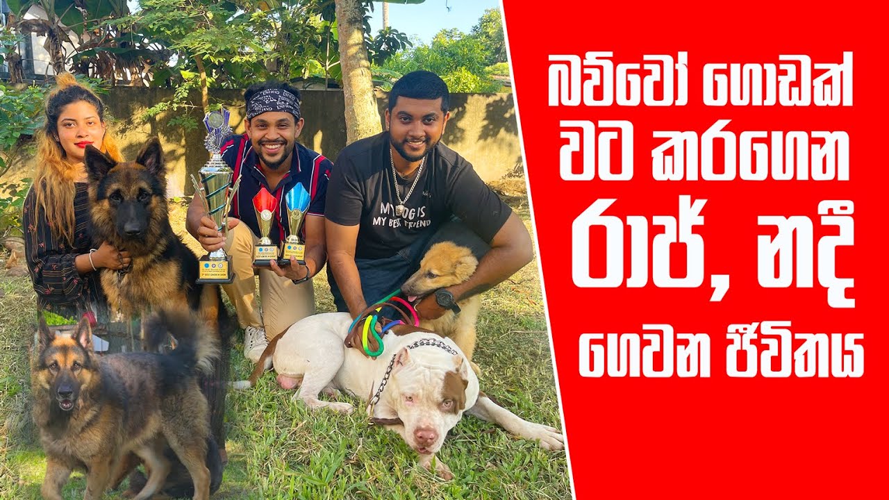 බව්වෝ ගොඩක් වට කරගෙන රාජ්, නදී ගෙවන ජීවිතය | Pet Talk