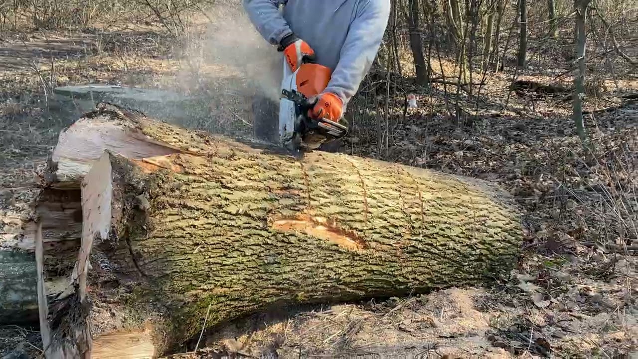 STIHL MS 462 C