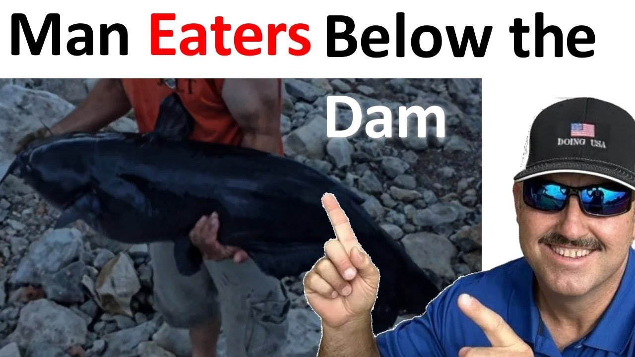 Man Eaters, Denison Dam Catfish #fishing #catfish