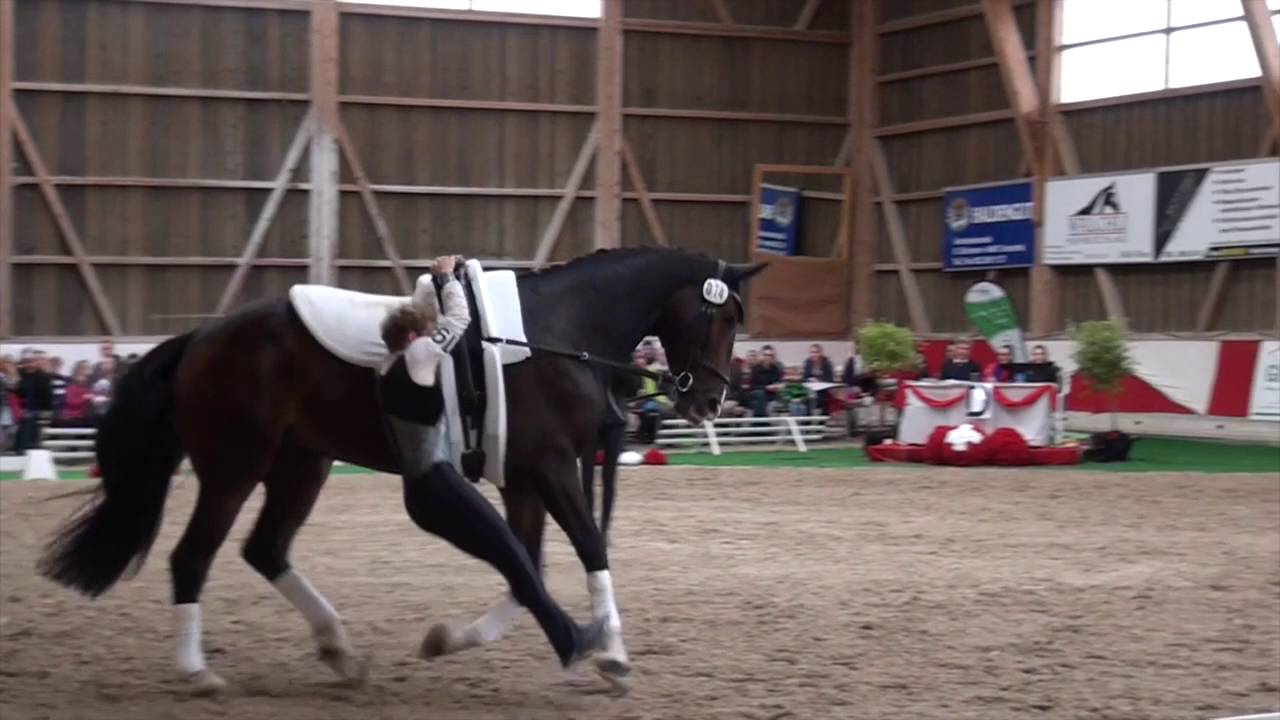 SM Tubenthal 2016 - Cyril Michel - Voltige Colombier
