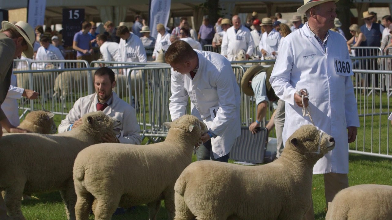 Royal Three Counties Show 2017 Commercial Highlights