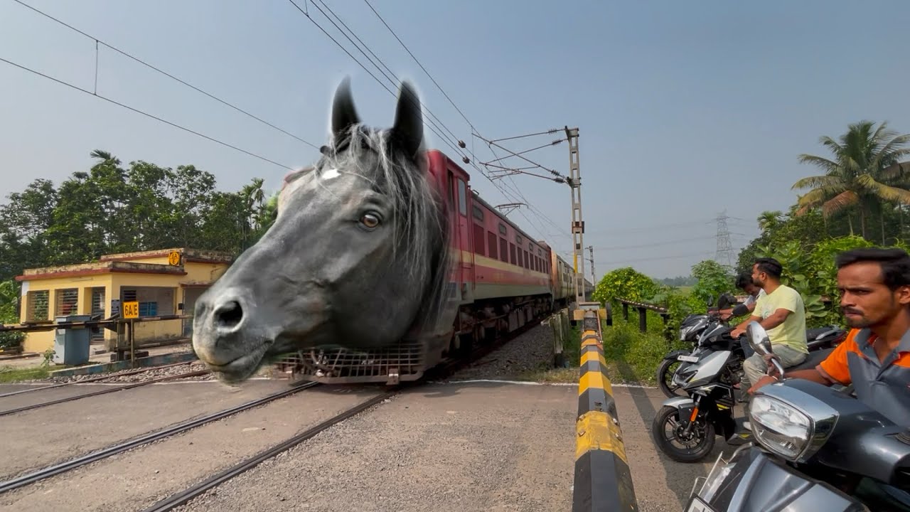 Dangerous Horse Headed Malda intercity Express Furious Moving Throughout at Railgate 